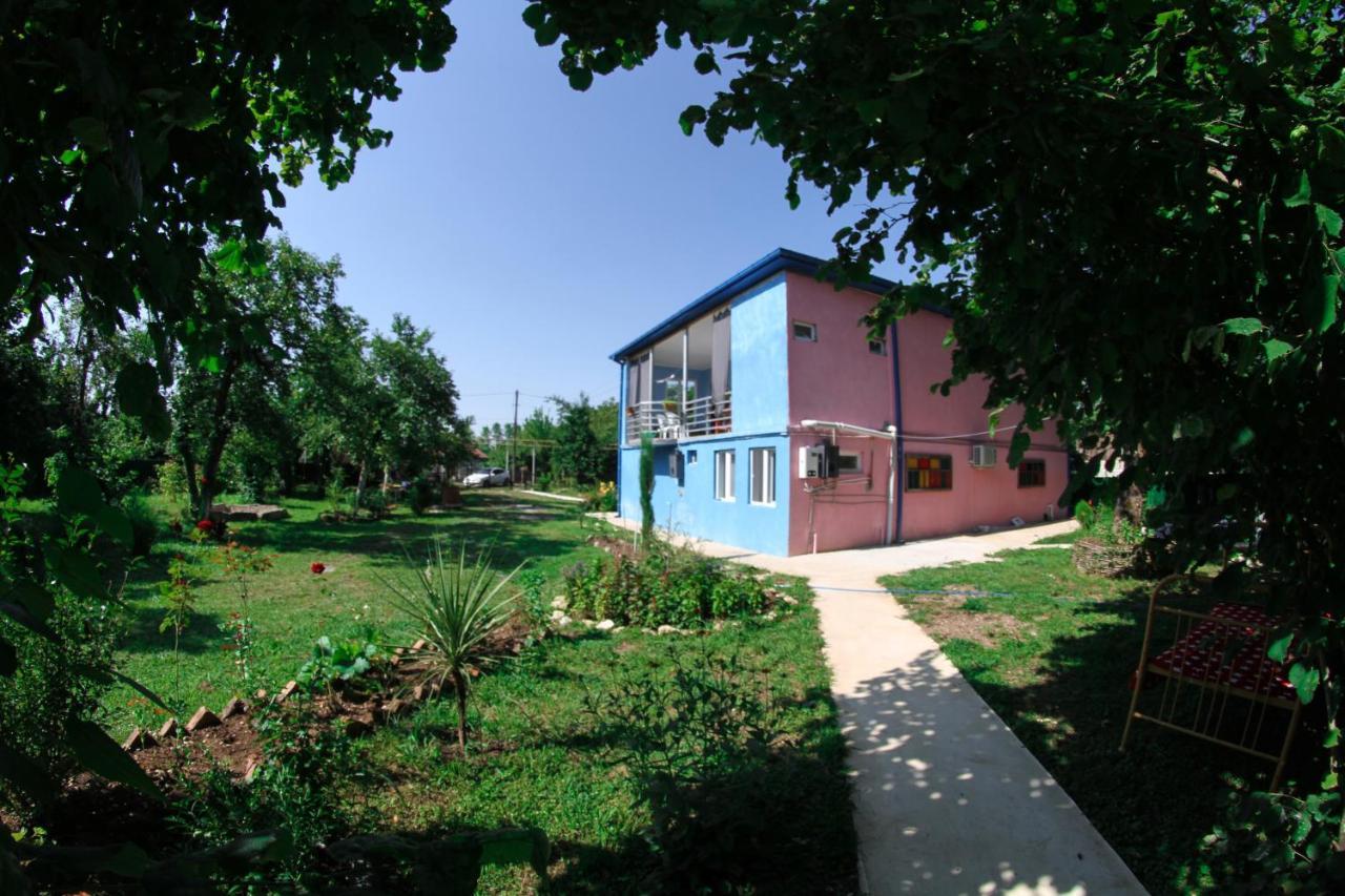 Appartement Novel House à Martvili Extérieur photo